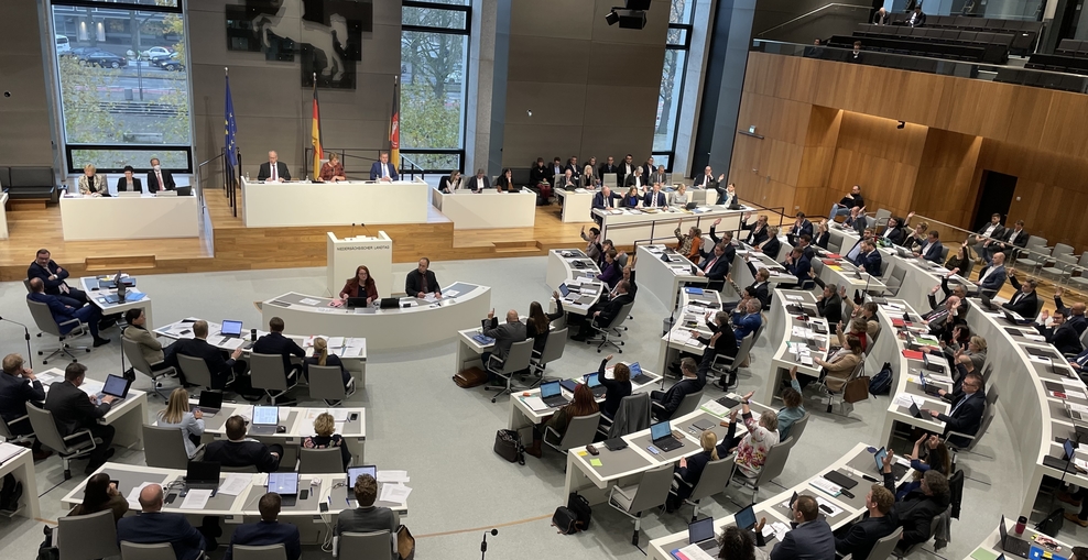 Abstimmung im Landtag