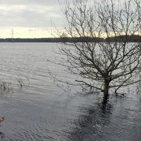 Das Bild zeigt die Umgebung von Wasser umspült